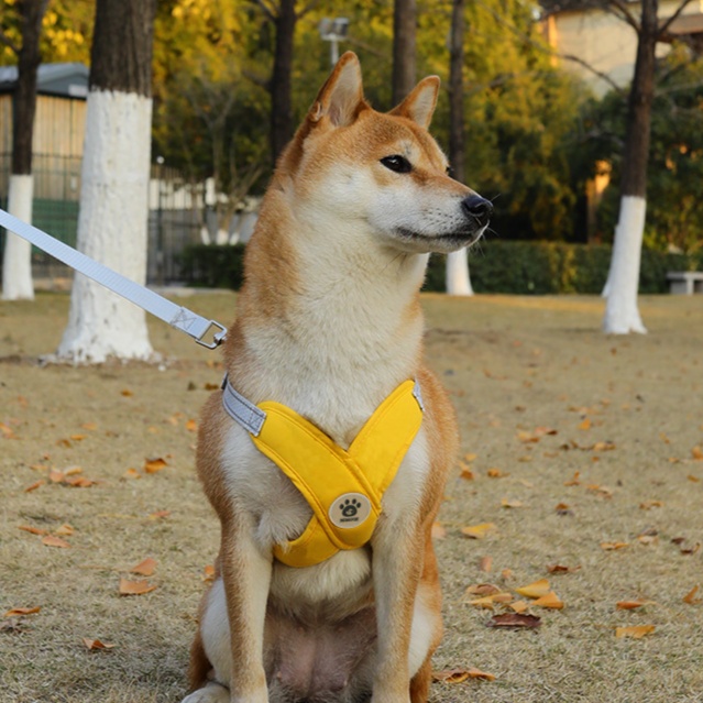 犬 ハーネス やさしい着け心地 ゆったりハーネス