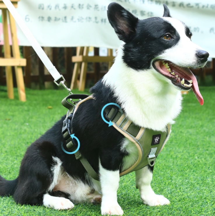 犬 ハーネス ふんわり柔らか調節ハーネス