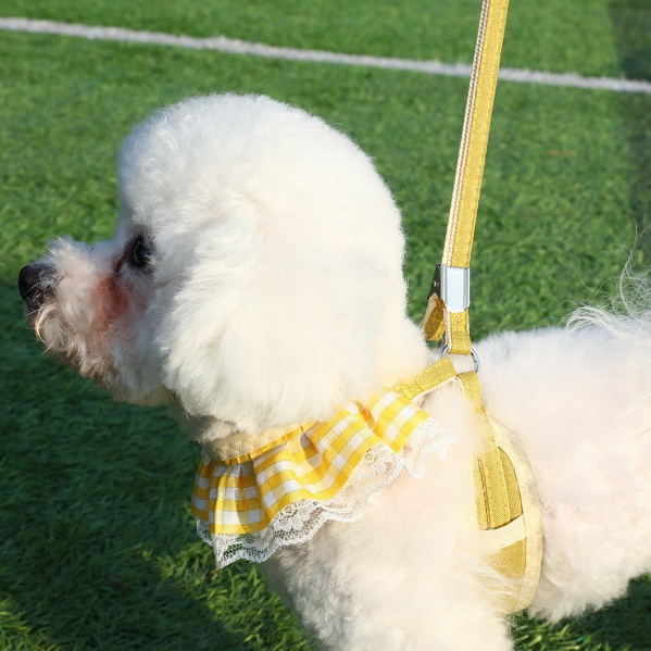 犬 ハーネス フリルレース付き お散歩首輪