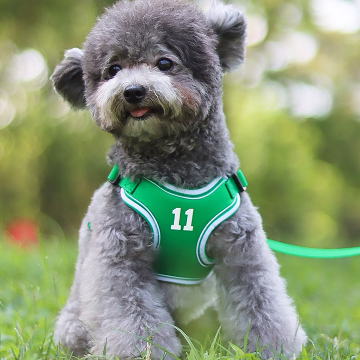 犬 ハーネス スポーツメッシュ 軽快ハーネス