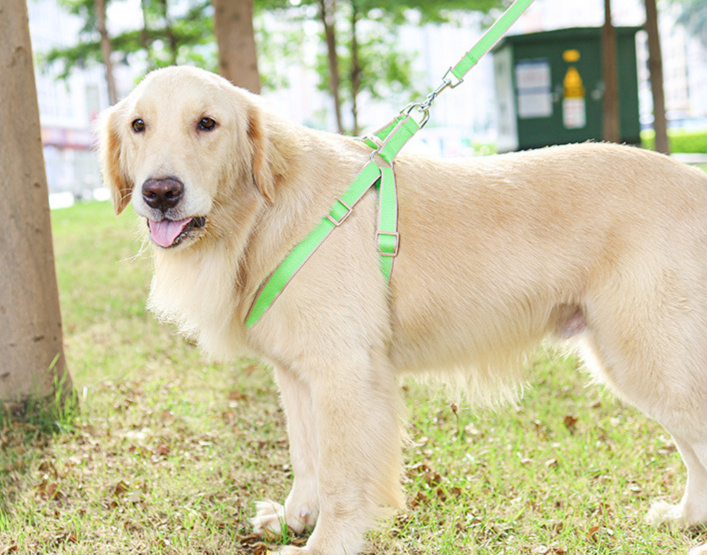犬 ハーネス やさしい着心地 ソフトフィットハーネス