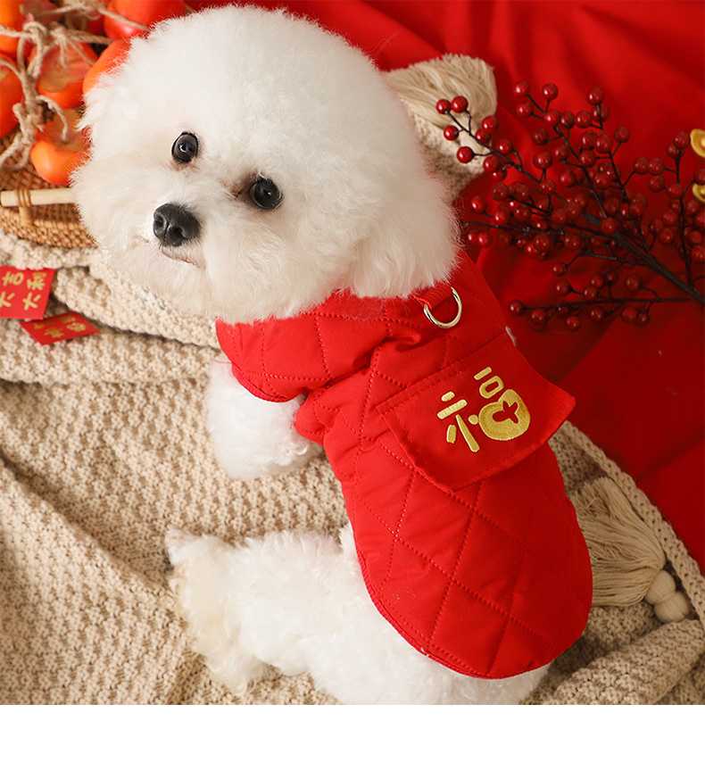 おしゃれで快適!人気の犬ハーネスのおすすめ16選!使いやすさ抜群のハーネスをご紹介