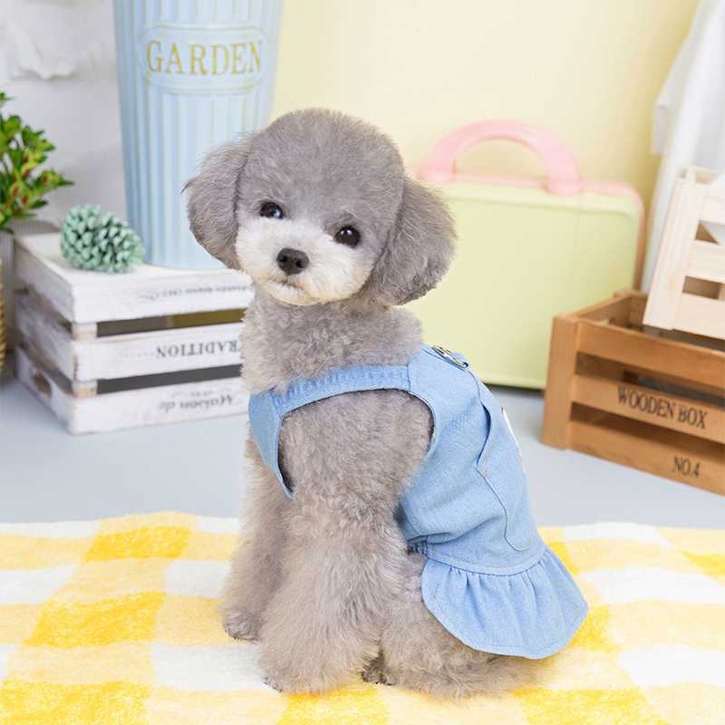 カジュアルで可愛い！犬用デニムハーネスのおすすめ5選