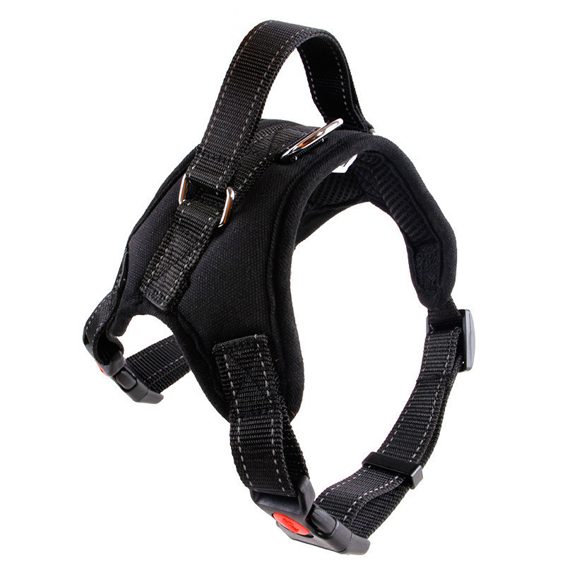 https://fulmo-img-server.com/wonderfulharness/175fc871-9190-4e68-810c-772fc36486aa.jpg