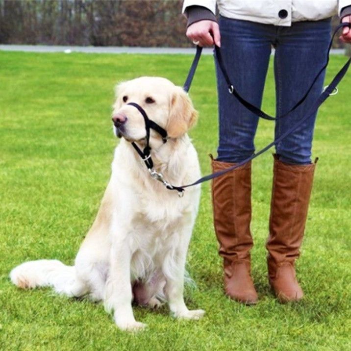 犬 ハーネス 引っ張り防止口輪式訓練ハーネス大型犬用