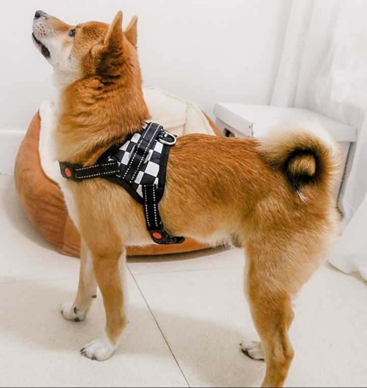 犬 ハーネス 市松模様とアニマル柄の胴輪ベスト型