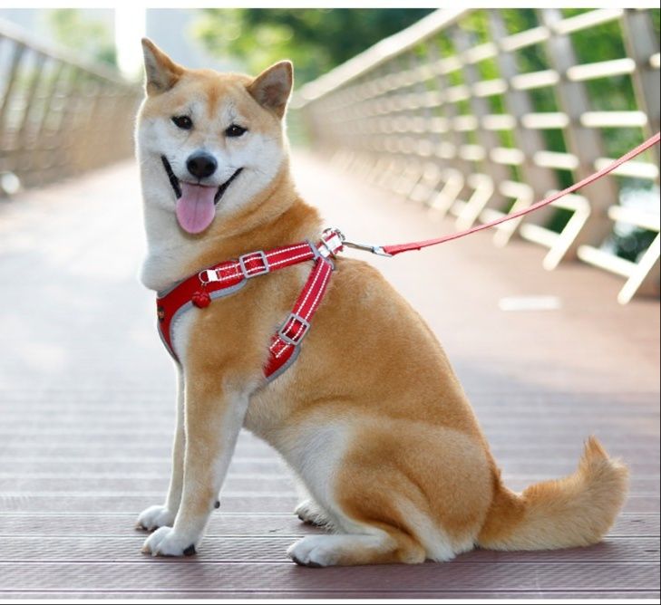 犬 ハーネス 反射テープ付き安全快適中型犬用胸当てハーネス