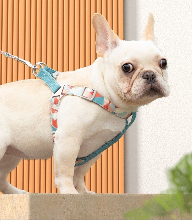 犬 ハーネス 子犬用安全設計Y型構造胴輪リード付きセット