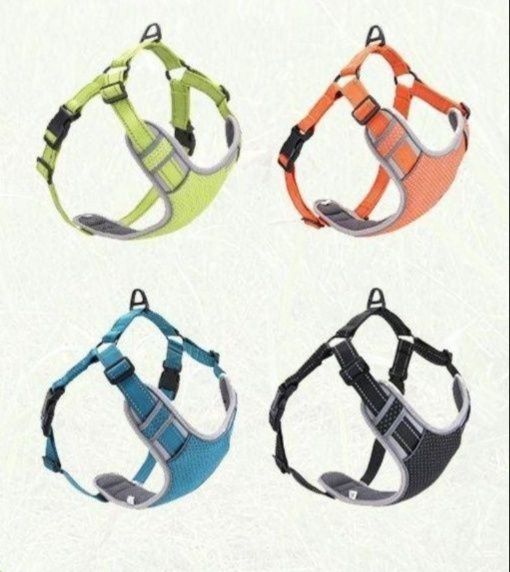 https://fulmo-img-server.com/wonderfulharness/1781674502966_yjhk6bdj_o6t4rjq5.jpeg