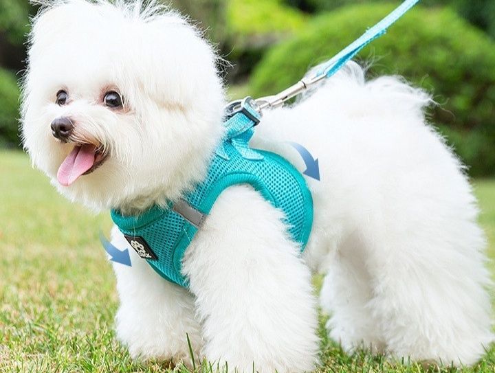 犬 ハーネス 小型犬用メッシュベスト型ハーネスリード付きセット