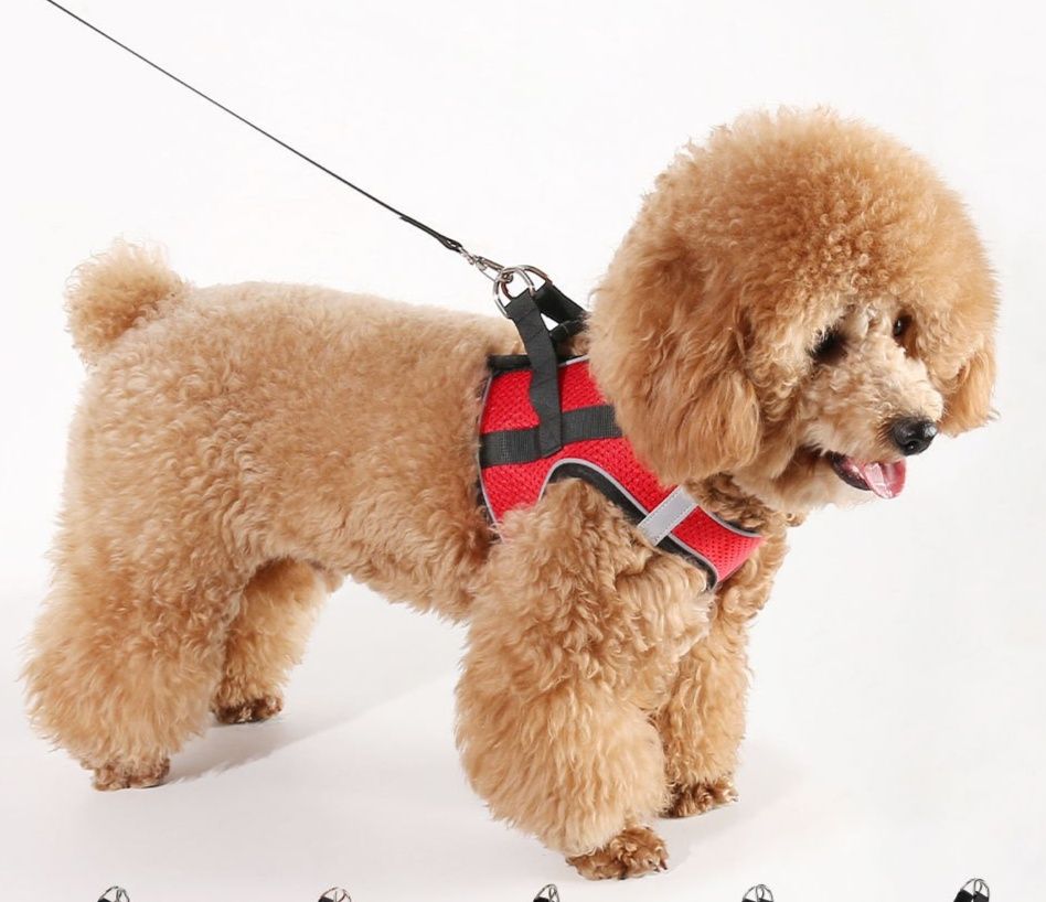 犬 ハーネス 小型犬用通気性メッシュ胴輪反射テープ付き
