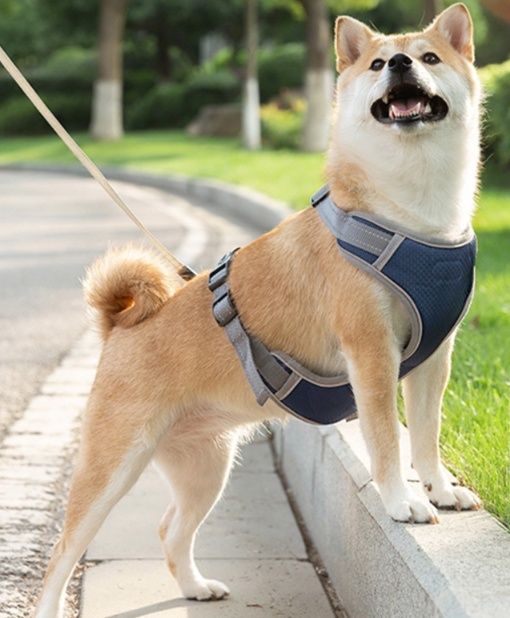 犬 ハーネス 中型犬向け胸当て式