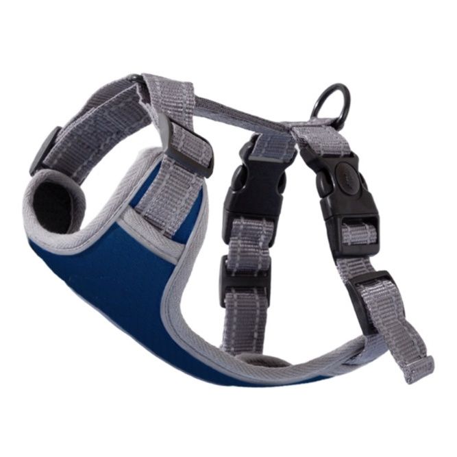 https://fulmo-img-server.com/wonderfulharness/1785991831151_kfx8vjs9_9y9jjkfp.jpeg
