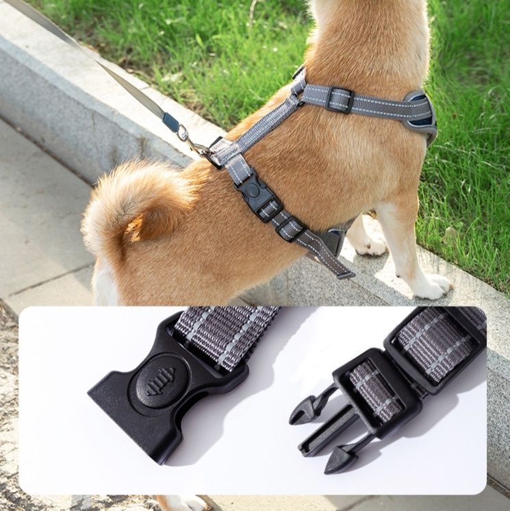 https://fulmo-img-server.com/wonderfulharness/1785991950521_ap023zhu_ilqsumm4.jpeg
