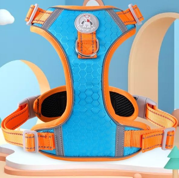 https://fulmo-img-server.com/wonderfulharness/1785992572109_2k0ehqmy_6zgmknl8.jpeg