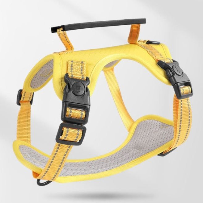 https://fulmo-img-server.com/wonderfulharness/1785994252970_6c03u4p9_ahn04qjq.jpeg