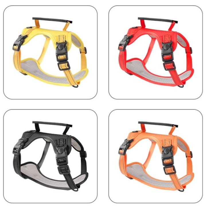https://fulmo-img-server.com/wonderfulharness/1785994275583_zfps2p8k_e4e30lzn.jpeg
