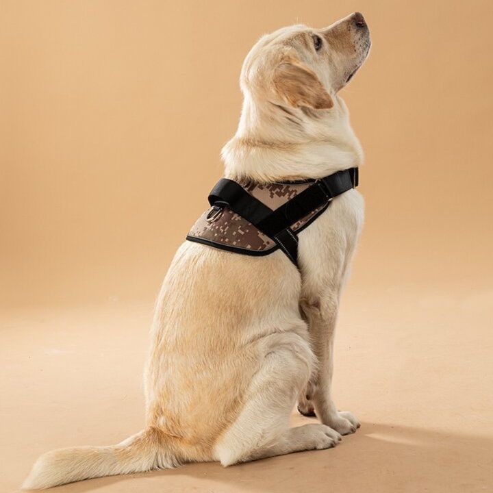 https://fulmo-img-server.com/wonderfulharness/1785994891442_xh7axr1g_78i543er.jpeg