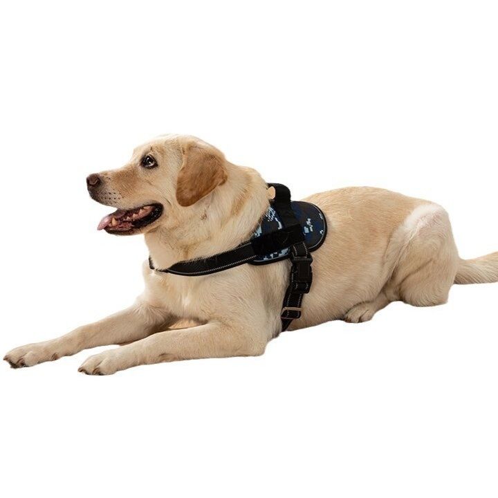 https://fulmo-img-server.com/wonderfulharness/1785994945461_969tqkeq_y9byz8x7.jpeg