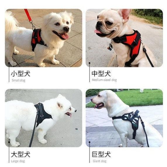 https://fulmo-img-server.com/wonderfulharness/1786151468225_m8cce8n8_bn3g22rh.jpeg
