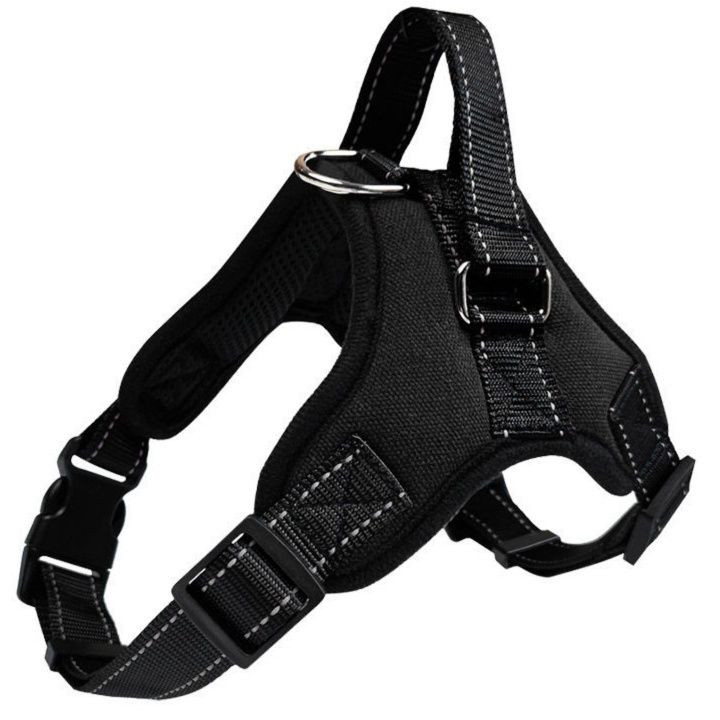 https://fulmo-img-server.com/wonderfulharness/1786151534768_mi1t359g_dvztcsv1.jpeg