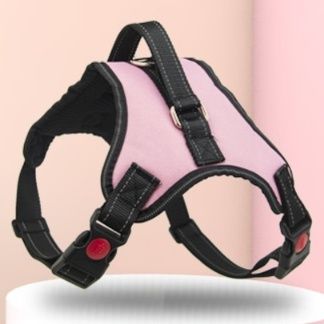 https://fulmo-img-server.com/wonderfulharness/1786151554718_clk8zdyg_cmyukbo1.jpeg