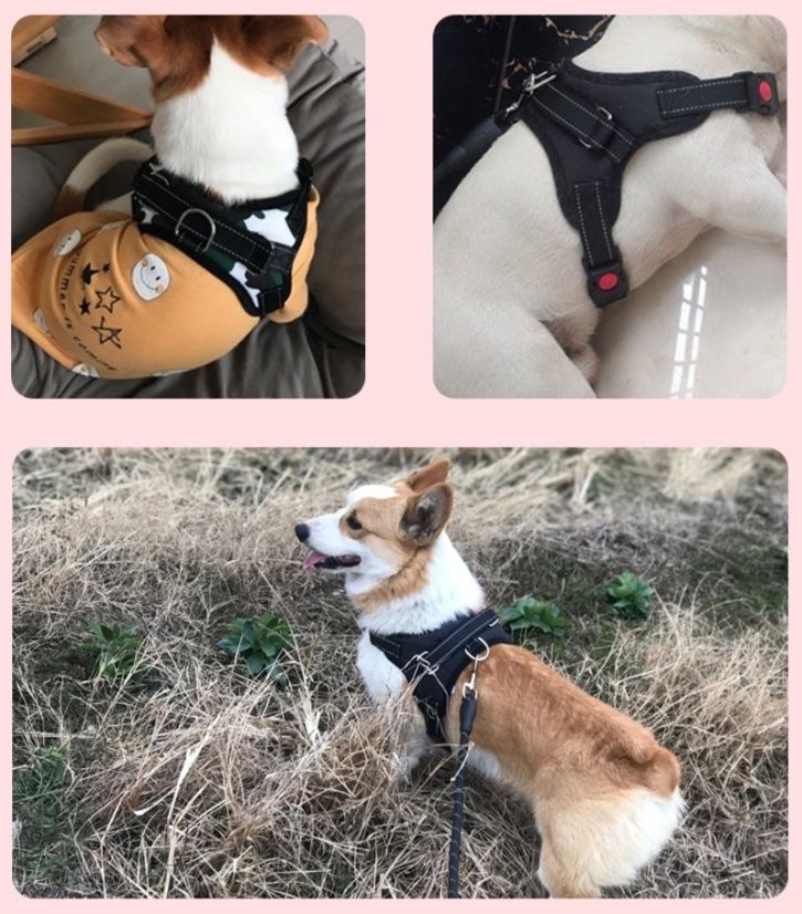 https://fulmo-img-server.com/wonderfulharness/1786151901640_6oaacn2i_bcb9r63c.jpeg