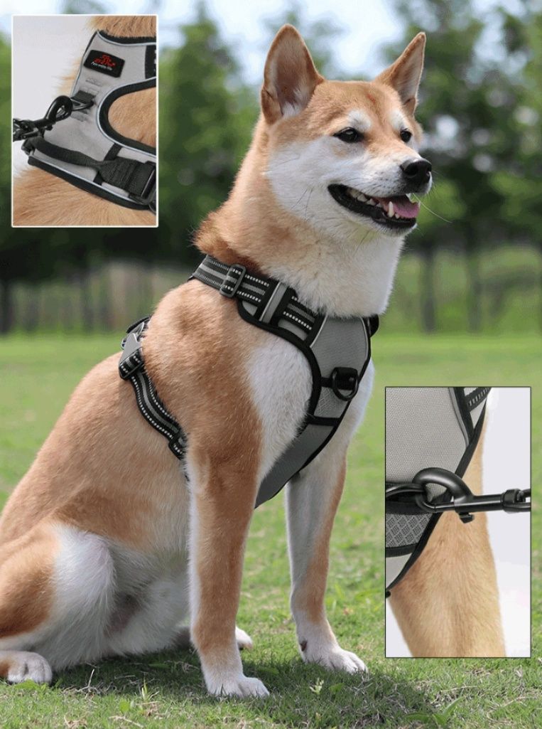 https://fulmo-img-server.com/wonderfulharness/1786153318213_jnd2sd4x_dkz8mpz5.jpeg