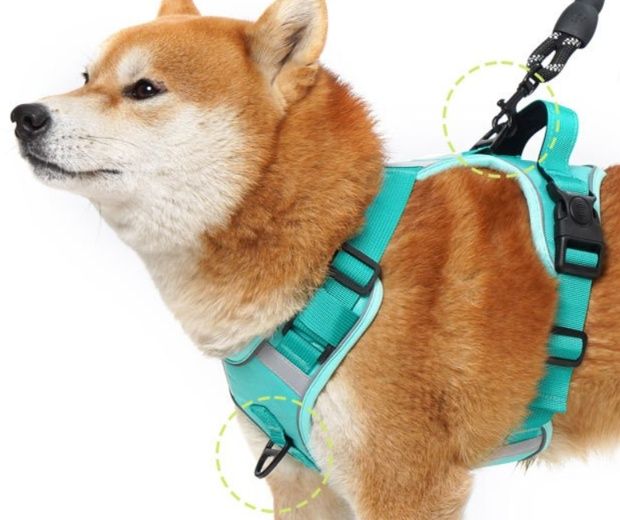 https://fulmo-img-server.com/wonderfulharness/1786155665268_gcs48ci9_rjg1i78y.jpeg