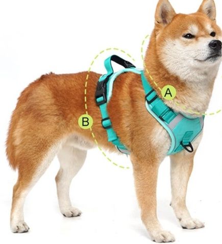 https://fulmo-img-server.com/wonderfulharness/1786155822675_xc1m6icg_lfxyjxew.jpeg