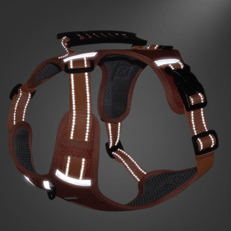 https://fulmo-img-server.com/wonderfulharness/1786157001953_wn199rxs_rrqij72o.jpeg