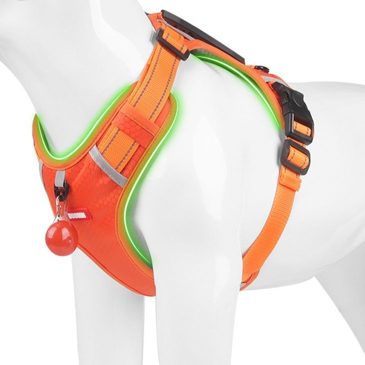 https://fulmo-img-server.com/wonderfulharness/1786157021741_k2af5neu_h5gpmcls.jpeg