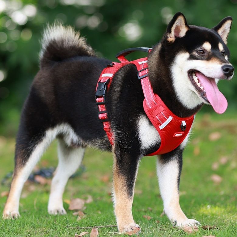 犬 ハーネス 中型犬向け反射テープ付き調節式
