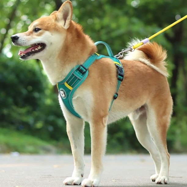 犬 ハーネス 中型犬向け通気性抜群の胸当て