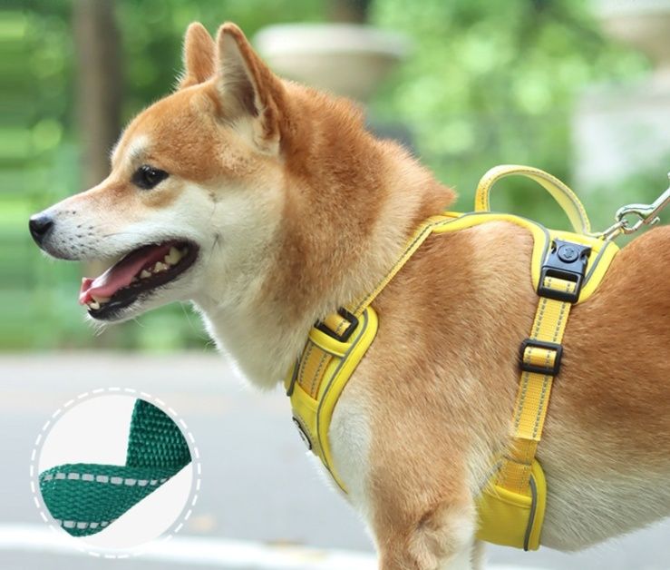 https://fulmo-img-server.com/wonderfulharness/1786157678297_zr1nys79_eawoj5x6.jpeg