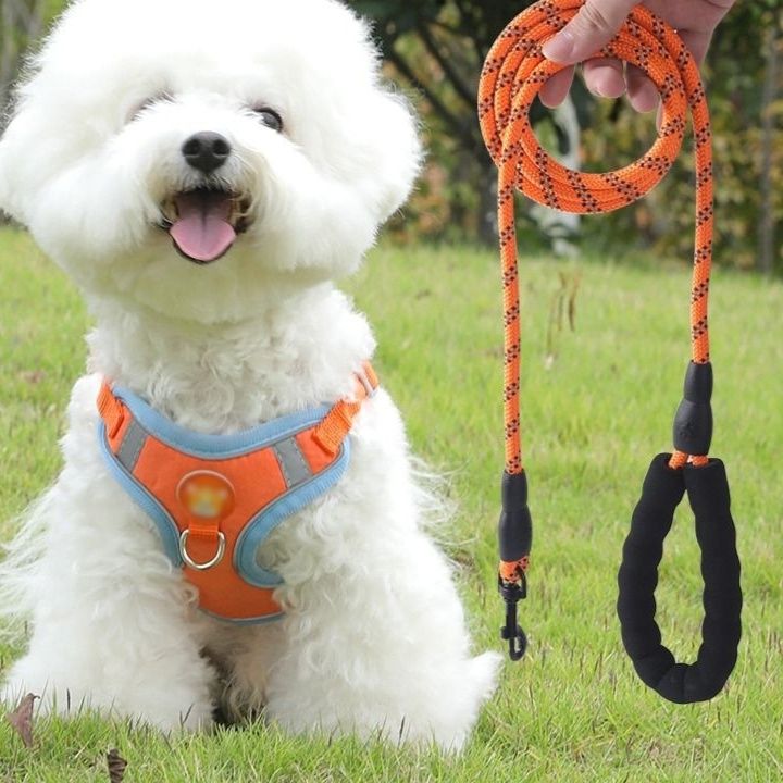 犬 ハーネス 小型犬用反射テープ付きシンプル胴輪セット