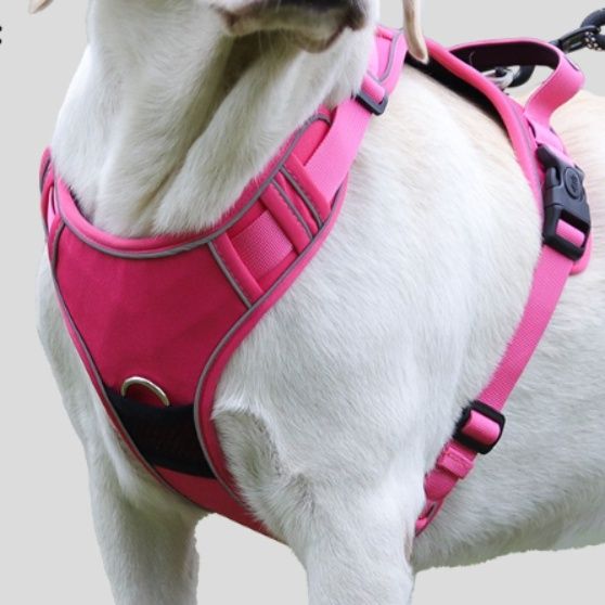 犬 ハーネス 調節可能な胸当て付き犬用ハーネス全6色