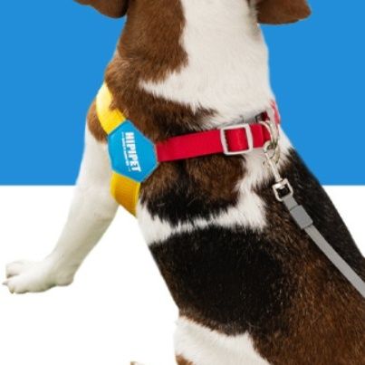 https://fulmo-img-server.com/wonderfulharness/1788836338035_31q7dg6e_cqnok65d.jpeg