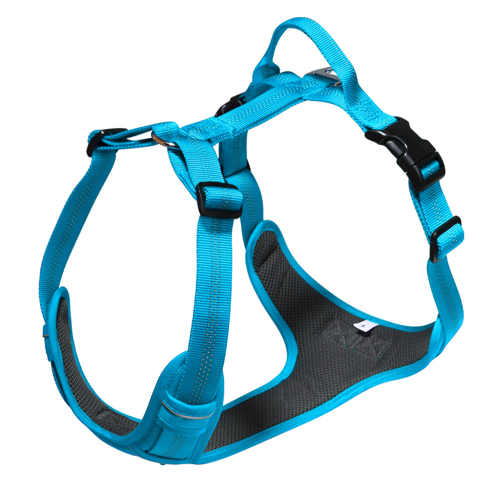 https://fulmo-img-server.com/wonderfulharness/1793ab17-3695-4979-b669-9f74aad7ca24.jpg