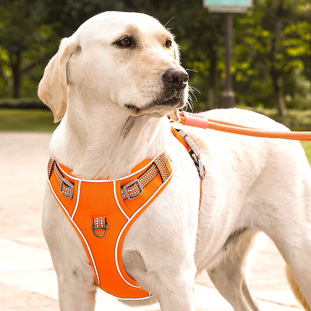 犬 ハーネス ソフトフィット安心ハーネス