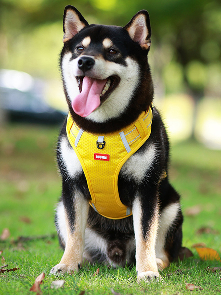 犬 ハーネス やさしい着心地 快適ハーネス