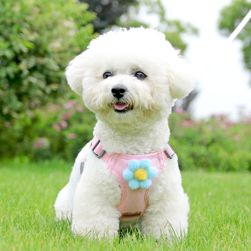 犬 ハーネス お花のついたふんわりハーネス