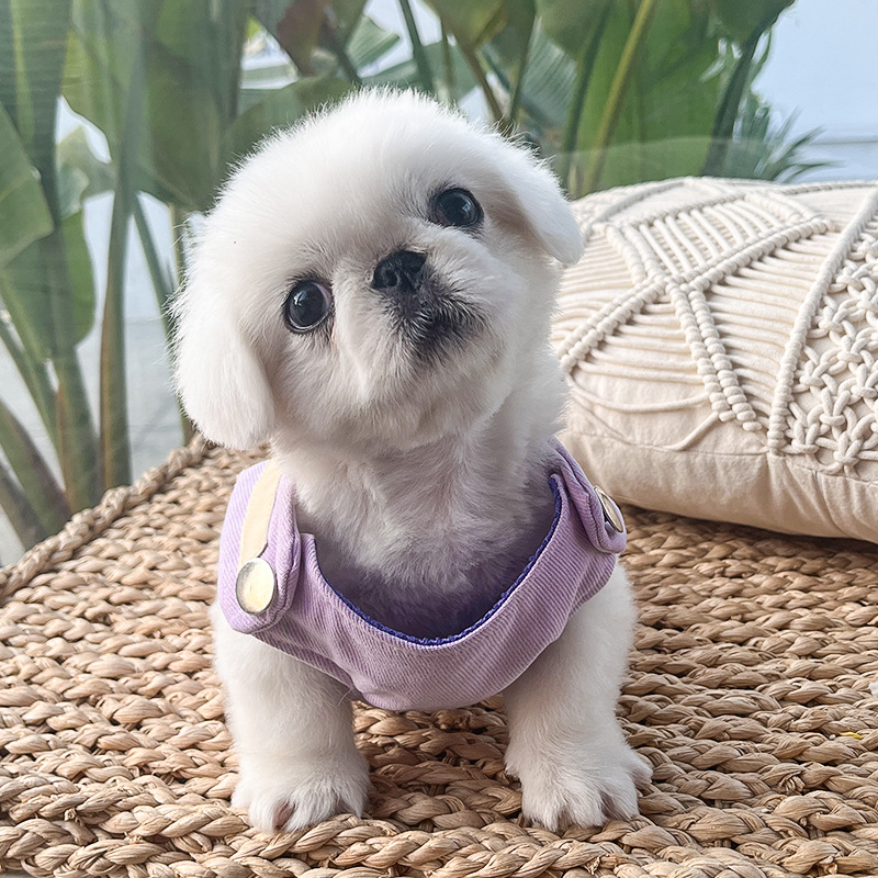 犬 ハーネス しなやかリボンハーネス