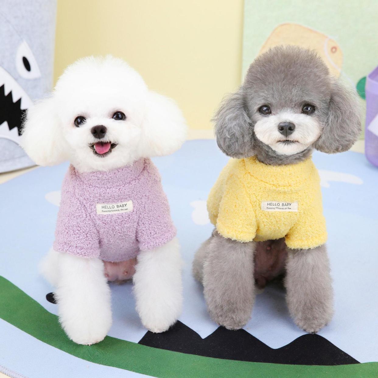 犬 ハーネス 生成エラーです
