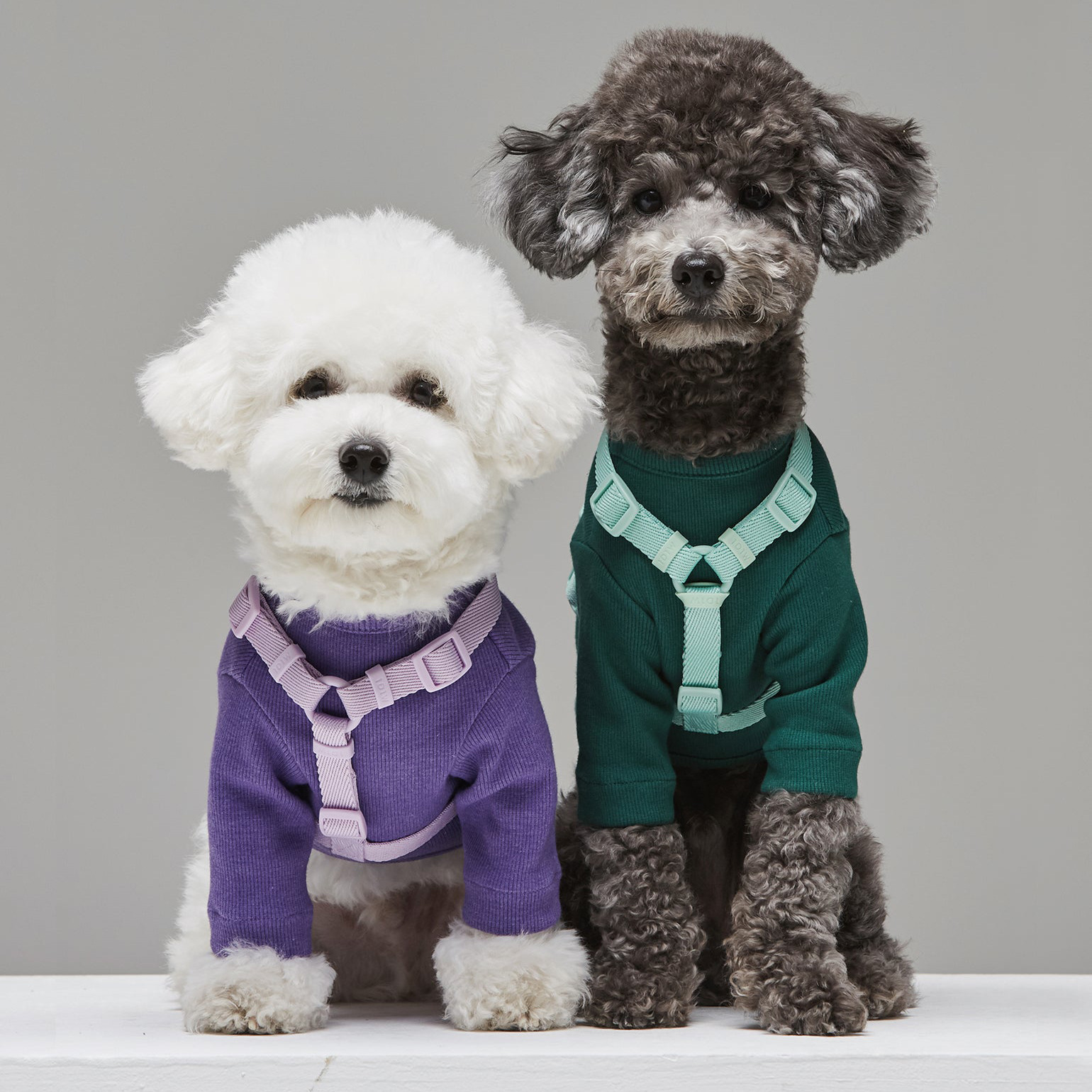 犬 ハーネス なめらかスタンダードハーネス