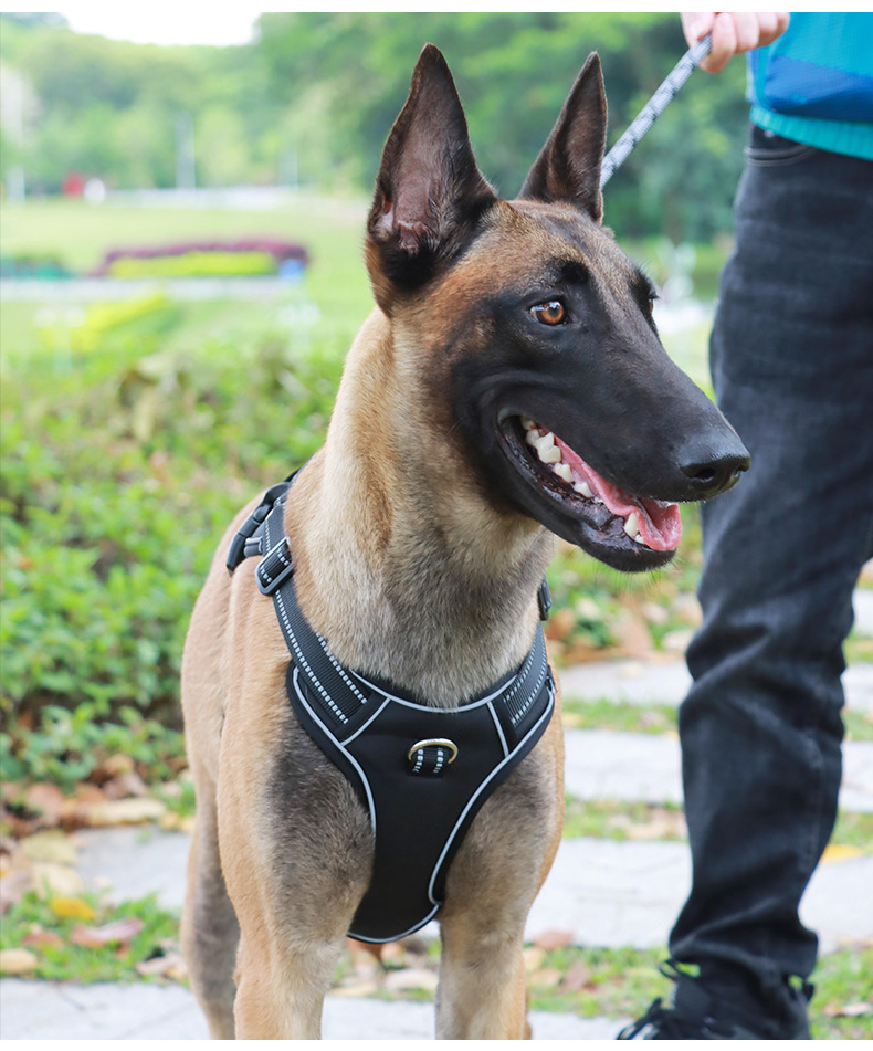 犬 ハーネス やさしフィットメッシュハーネス