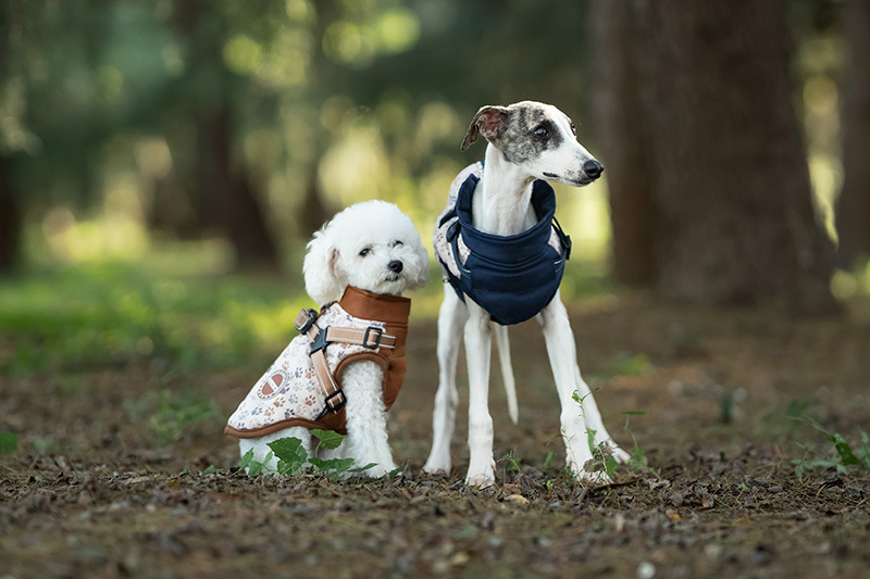 犬 ハーネス やわらか肌触り 散歩安心ハーネス