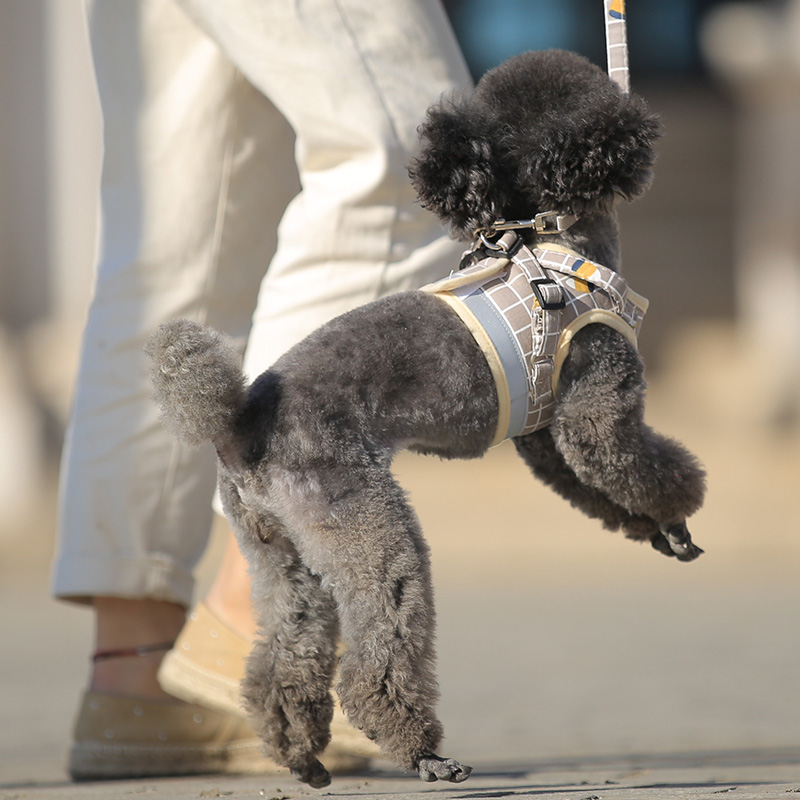 犬 ハーネス やさしい呼吸 フィット ハーネス