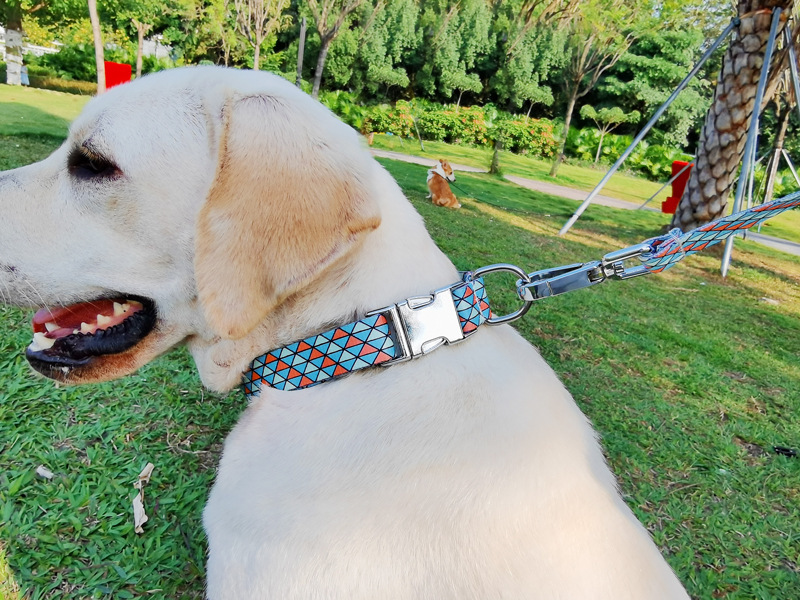 犬 ハーネス 幾何学模様の刻印首輪