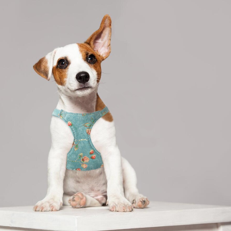 犬 ハーネス 小花柄やさしさハーネス